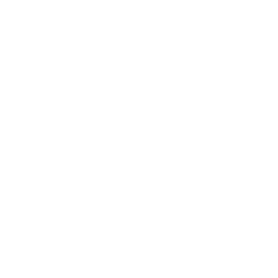 Falcon Shocks
